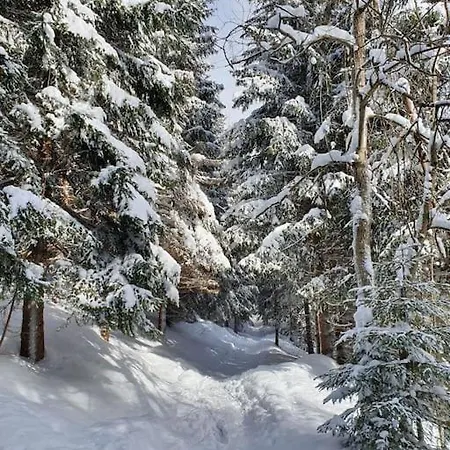 Refrino Na Jedinecnem Miste Apartment Rokytnice nad Jizerou