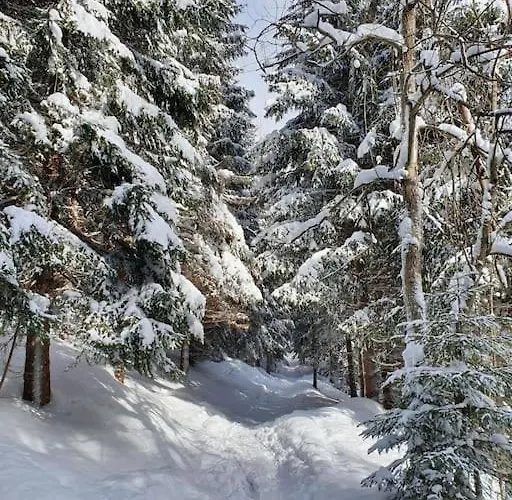 Refrino Na Jedinečném Místě Apartmán Rokytnice nad Jizerou