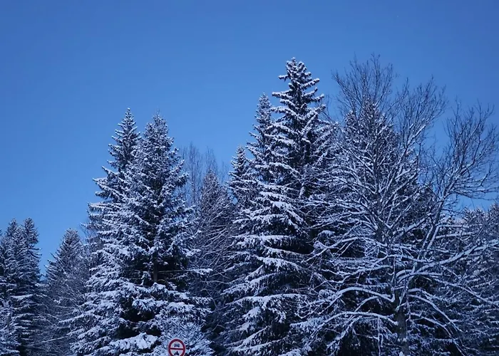 Refrino Na Jedinecnem Miste Rokytnice nad Jizerou